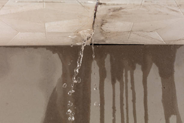 Professional Structural Drying technician working in Lake, MI